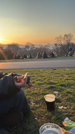 Sonnenuntergang auf Wiese